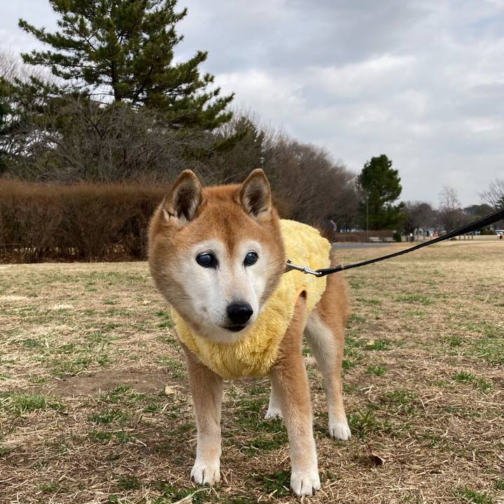 4573d445 82bc 49a3 b16e 52514fbbab03 1771904608813