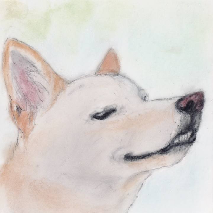 4573f885 8270 49ce 930b b4bcd34d5a7a 1744206316773