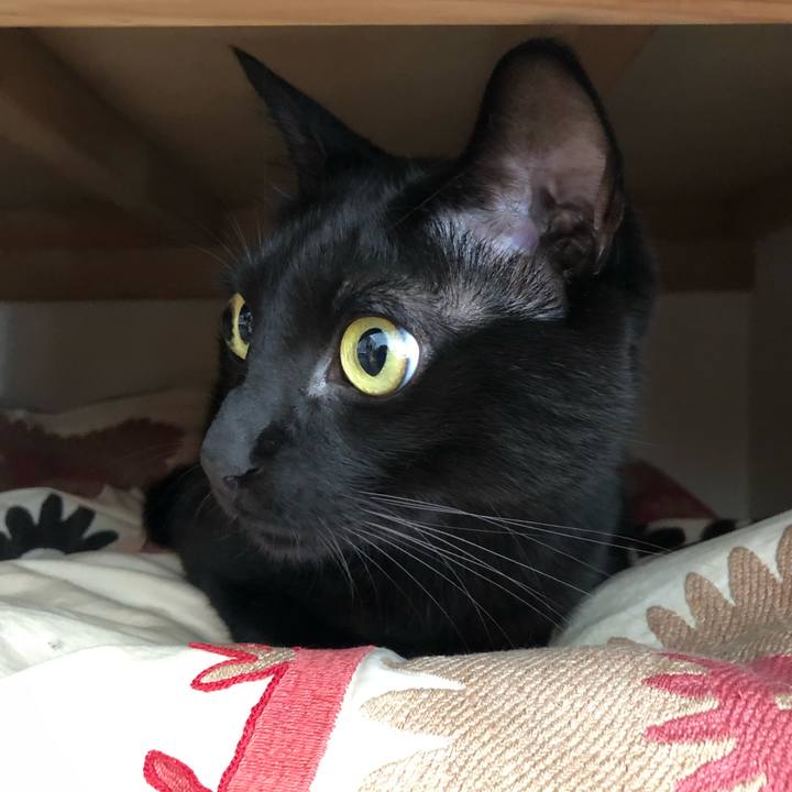 4573fcf2 5607 495a a51f 71c2bde9975a 1573777651246