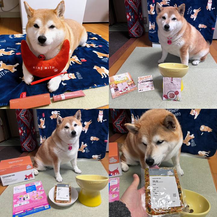 45740e56 6a21 41c9 badf dfe63aa61373 1679798852362