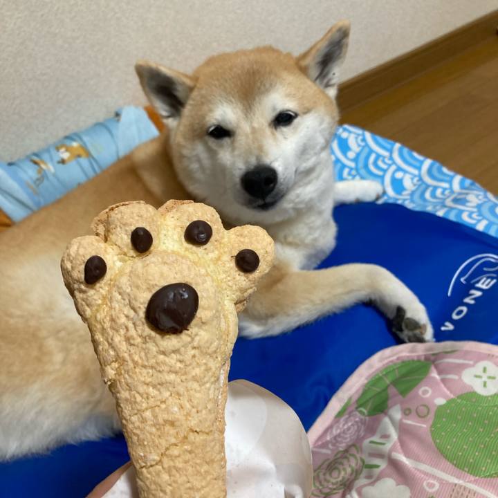 45741e1a d1fe 45c2 a19b febb5eb232d2 1627722837538