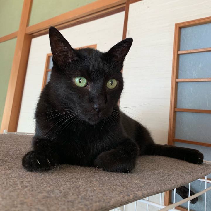 45746219 915f 4702 a3c3 7d4c5d3a5894 1568681717824