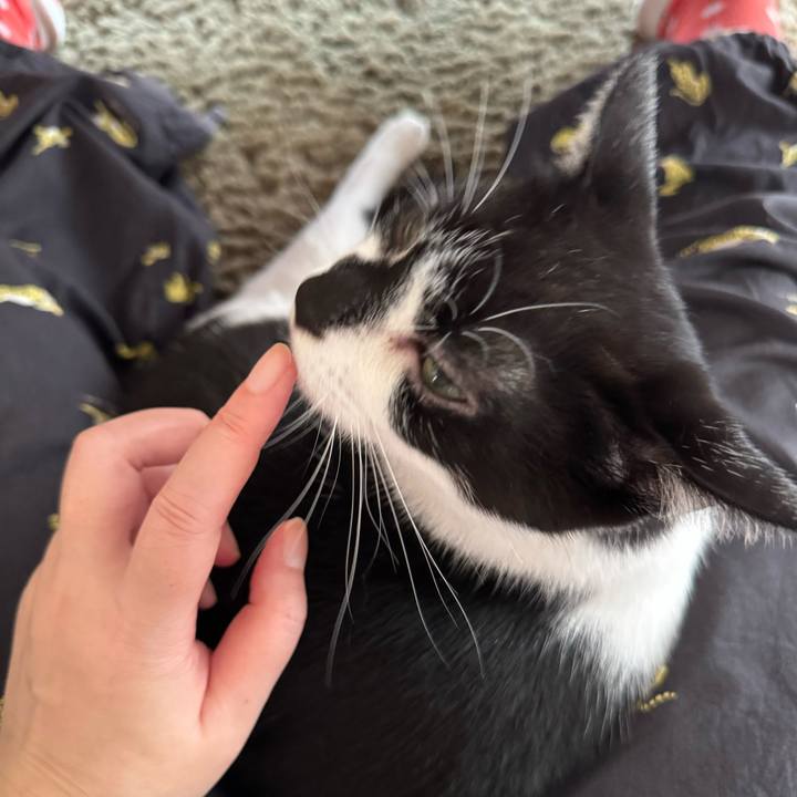 45747a3a c342 4440 8cda 4cf6df66e564 1758927719603