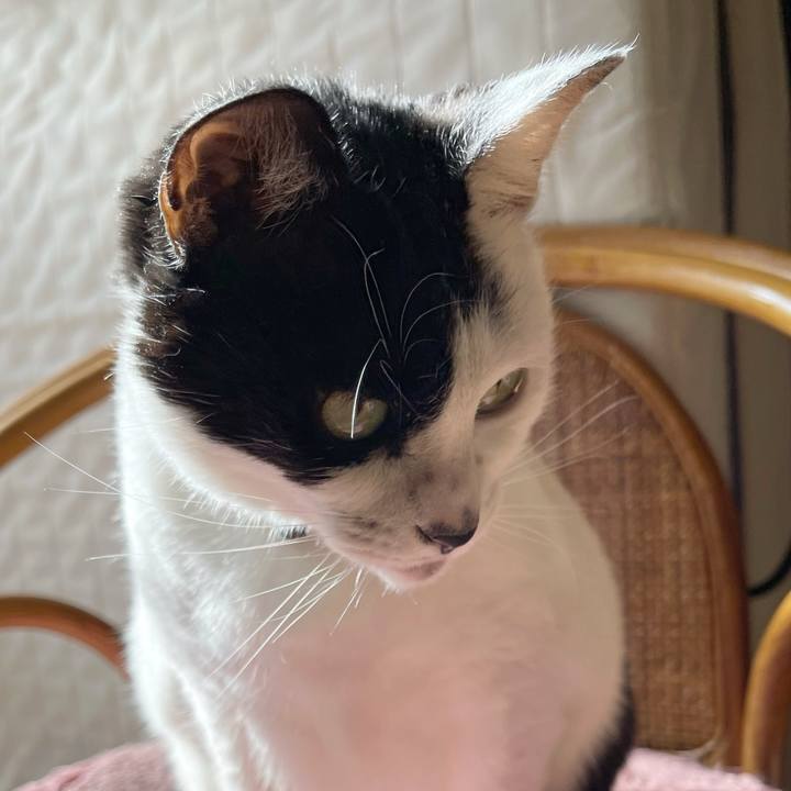 45749484 6f89 411b 906c 77c9d3767a47 1764986222846