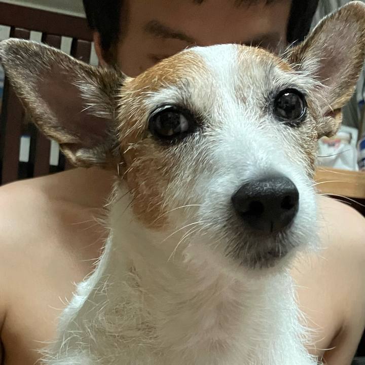 4574efc6 cd67 4ac1 9540 5c19dec2e977 1663802345590