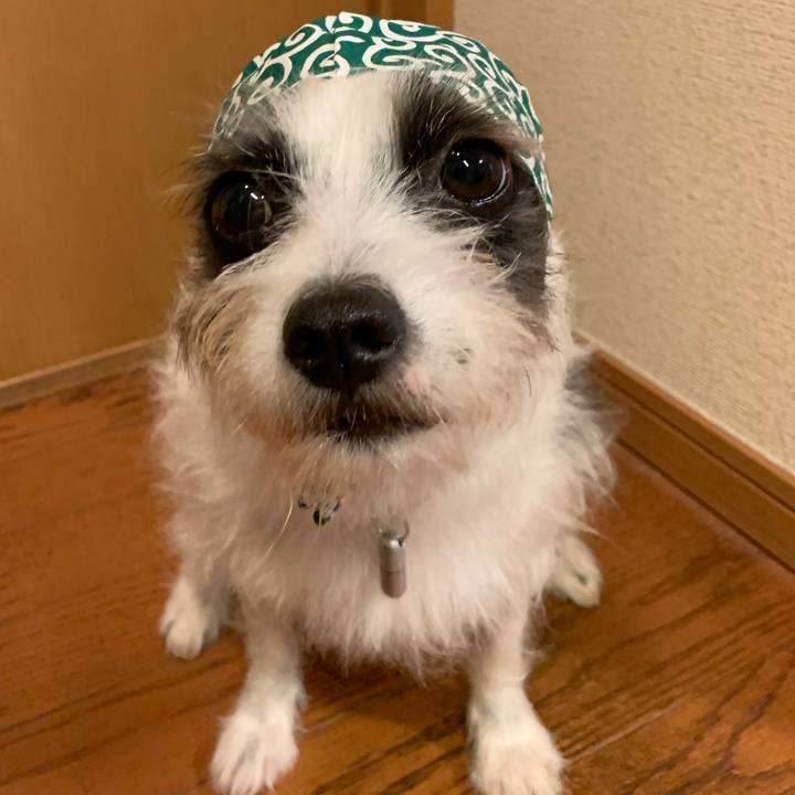 4574f1f5 cbd1 4c76 9d60 fd12d335a3f1 1568807448458