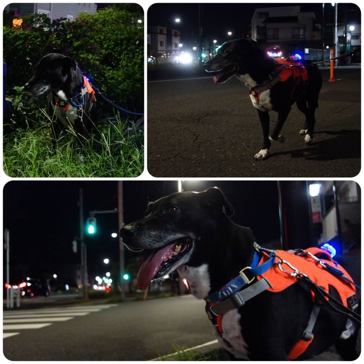 45750fff d279 42a2 8a78 7701196874de 1724845105815