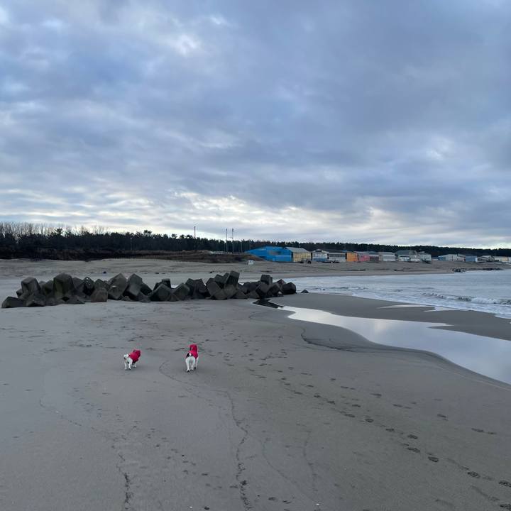 457520d3 9692 4869 b1ec 6c0e8759273b 1706574177426