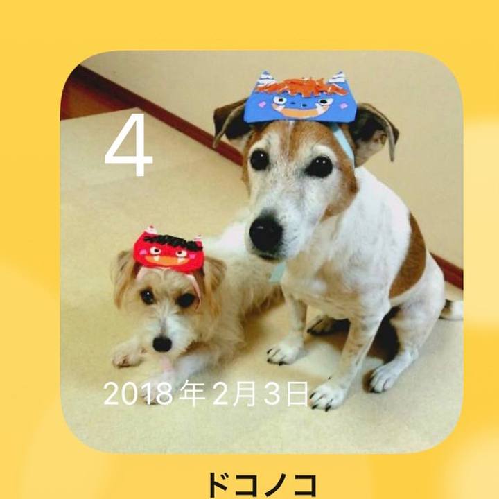 4575bd06 5ff9 4778 a79c 6136e04b0626 1643977069871