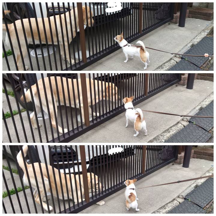 45760c9b fc7d 41ae bf07 56416c03384b 1716030472538