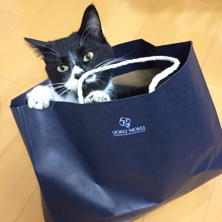 4576687a e84d 4cd4 99a2 1a5cc354c17e 1515642581782