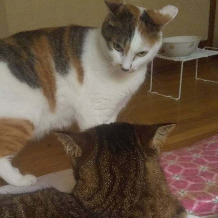 45766b45 be40 4ad4 9559 696ea967eff4 1752789255027