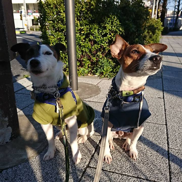 4576bb79 f43e 43bd bf6e e872faf1aa76 1554241946064