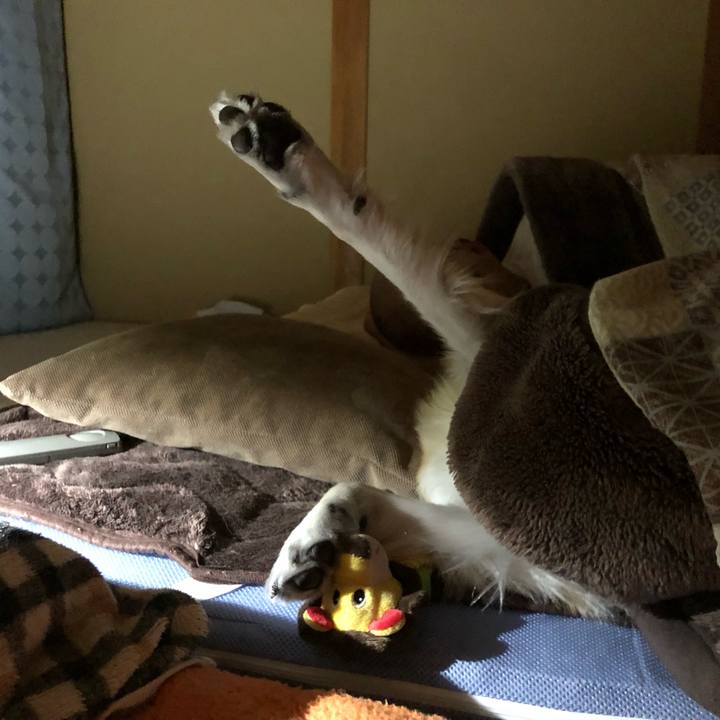 457747dc e7ce 453f b196 754fc63c2ac9 1545573672911