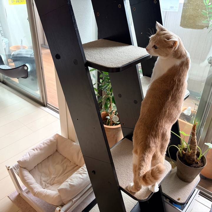 45777864 bdb4 4042 95d5 cd4f2049f742 1762650031996