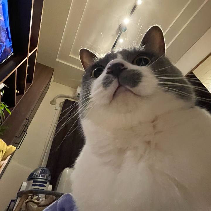 45778460 8053 4daa b076 f5c37075f883 1754490112491