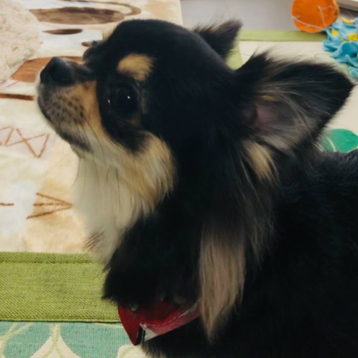 457796e0 57b0 4ae4 9dc3 9995d31a99bd 1562299954056