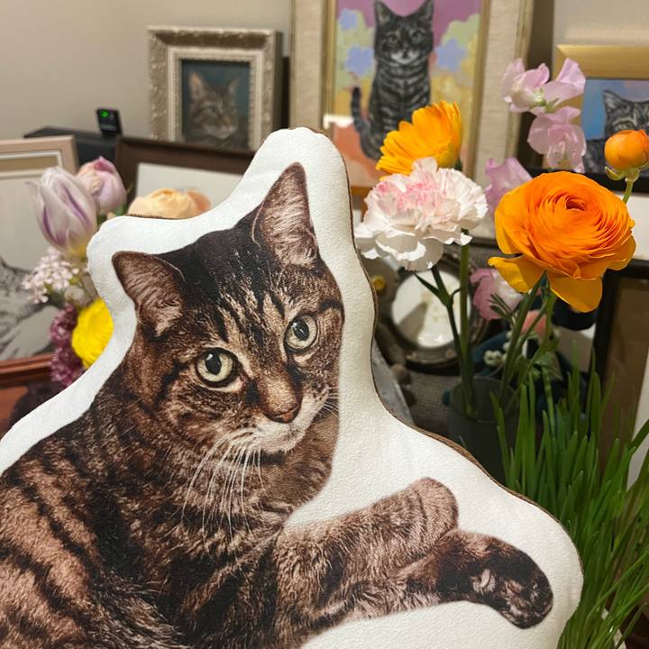 4577a50e d0f4 45de b1be a3b9084a62d7 1772361758370