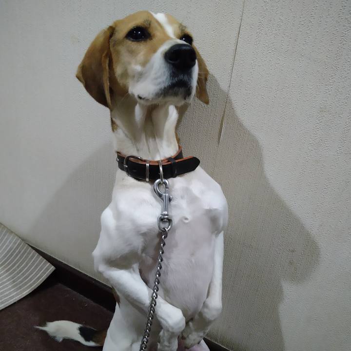 4577c05f 440c 41cc 961f 5c1537301771 1639839985045