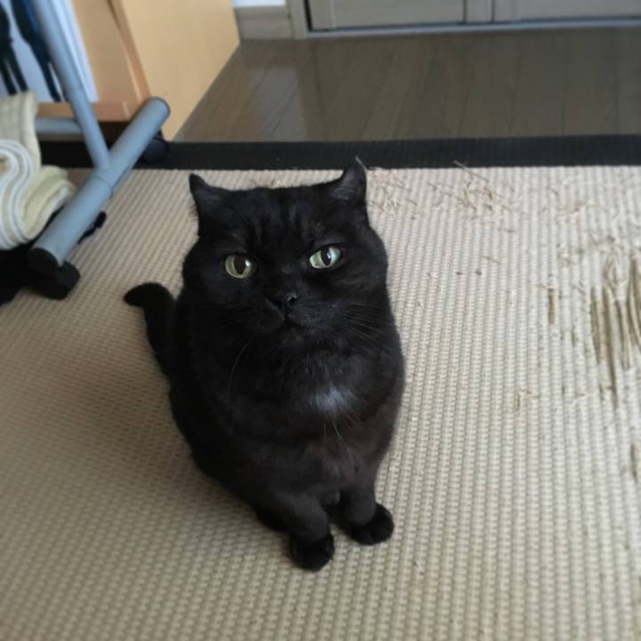 4577fdec 572e 4f20 b41c 37ad3e0497e2 1513895795856