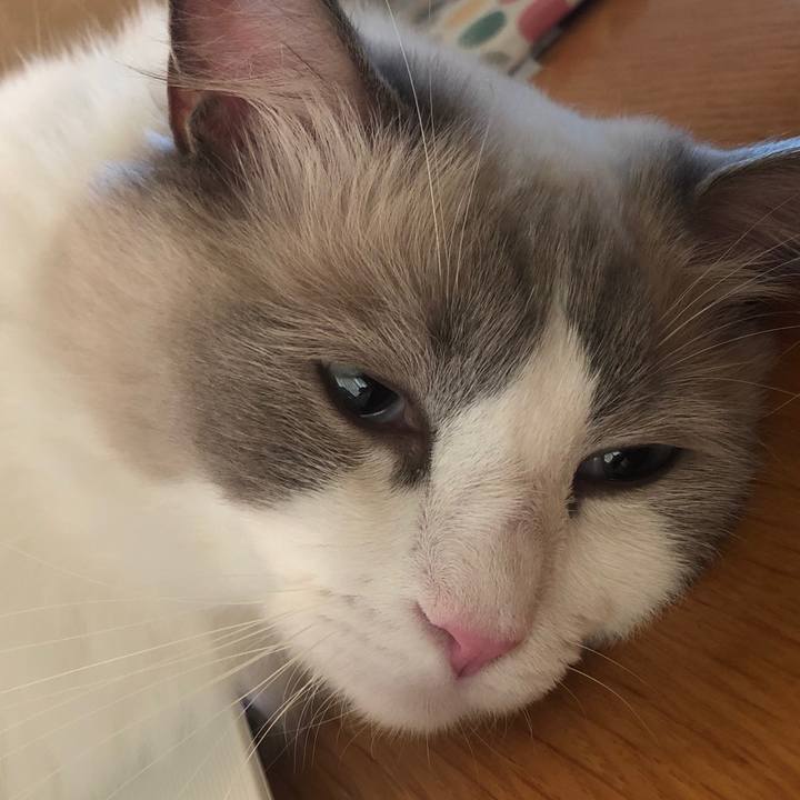 45782082 b94e 45d9 99ea 2dcccacfd393 1565678245089