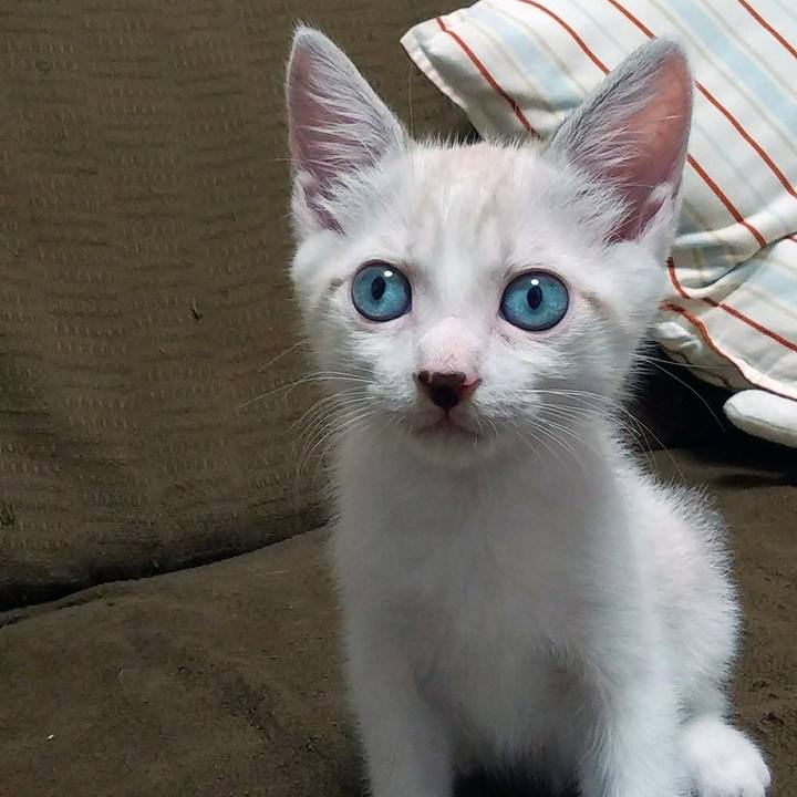 45782f9d b711 469d 8091 6fff247ea571 1597884190046