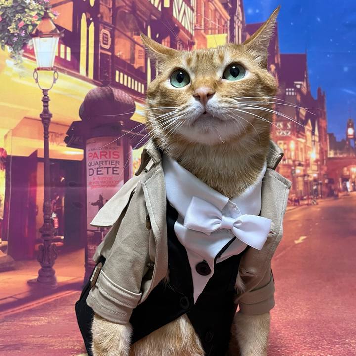 4578b9dc b4cc 4a43 9c8b 36c1edc0f1af 1700918801514