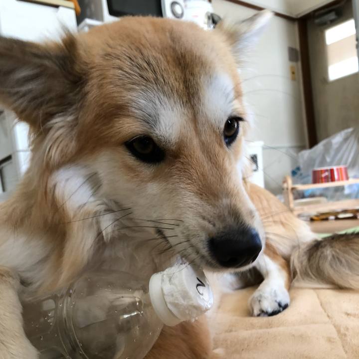 4578c06d 60d0 4a94 a46f ce25433ed892 1513992446439