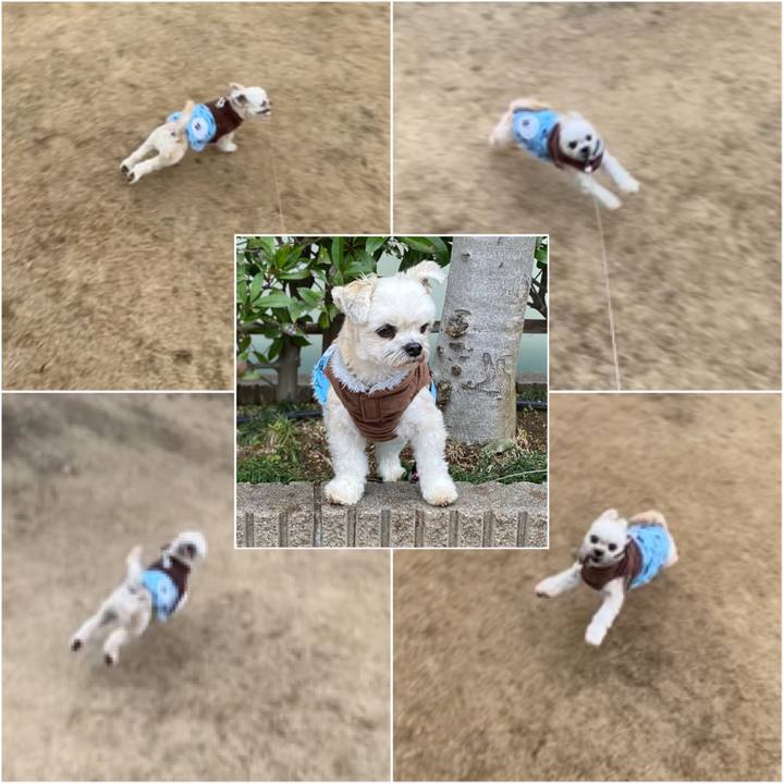 45791b2b 1ac3 4398 95ce a426dea13937 1580035295319