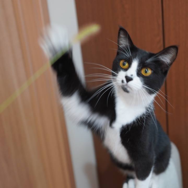 45795bca b5b2 4da5 b41e 0a6dda05979c 1615207801114