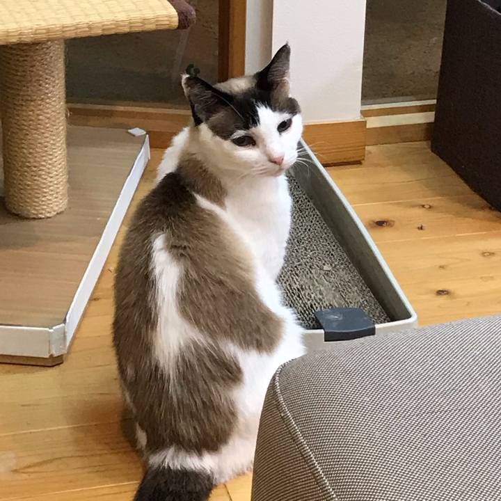 45797c04 17d1 4c48 87b2 af12a79fa385 1620466875949