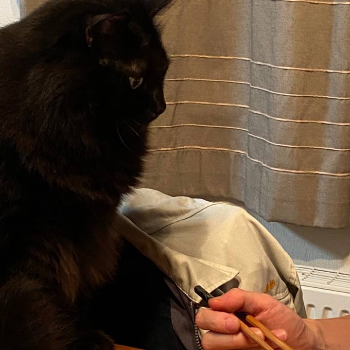 4579817c a2fd 4a08 be70 1a0e81fd5c1c 1601482138890