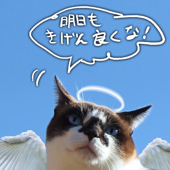 457999f3 8f23 4d16 bbd9 2512993b332b 1533306960718