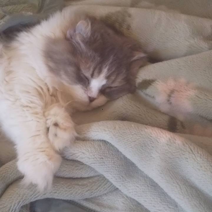 4579f85d e9e7 4170 bfe0 acd1e4aad5b6 1745990037281