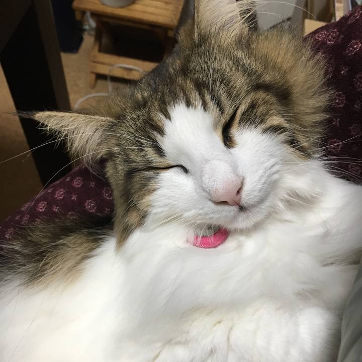 457a0e7d 384e 4acd 8549 a4821ebb25c8 1508800465555