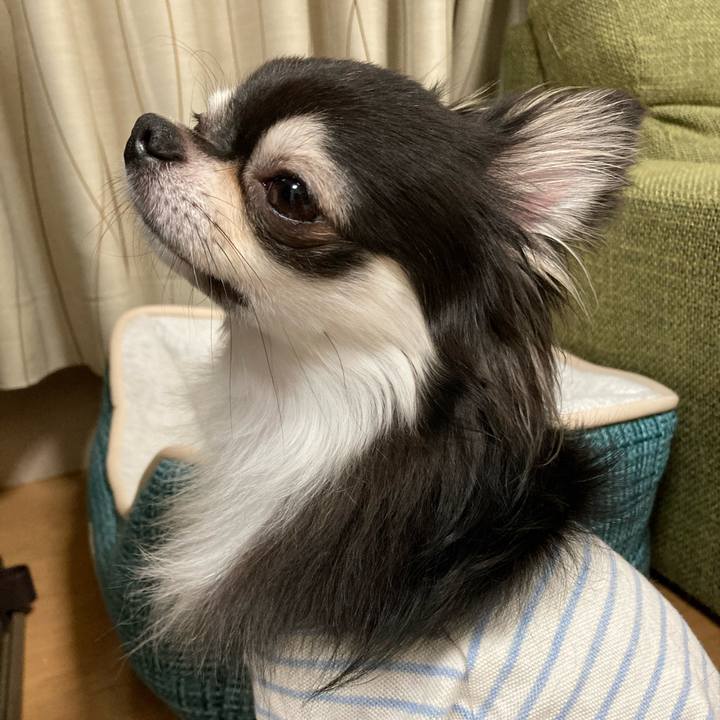 457a3645 4c23 4e33 a5fc 3e826208e72d 1665409946093