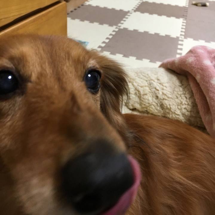 457a3851 bd0b 4475 bbb2 40cc175f22ac 1551876894260