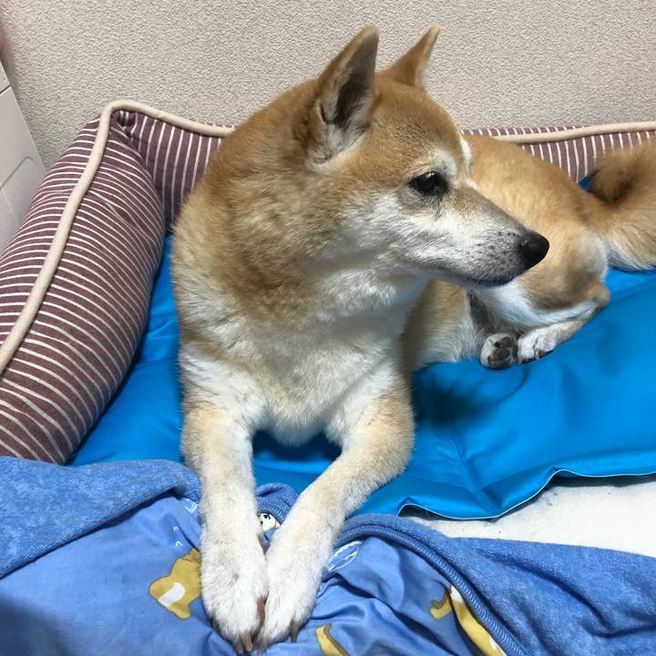 457a4998 6f06 4573 99c9 b2b7dcc2f56c 1593867537006