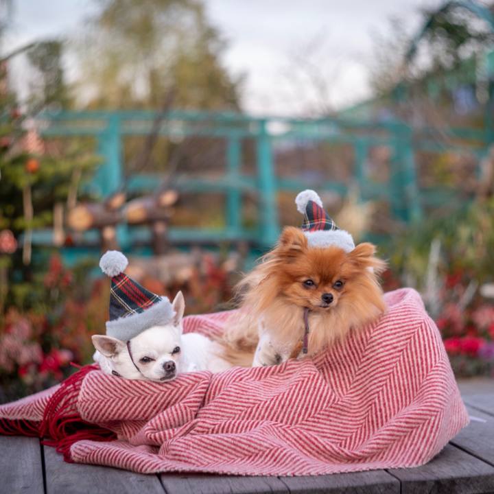 457a5c31 78ea 4e2f 8d46 dd2c265eb993 1547639580957