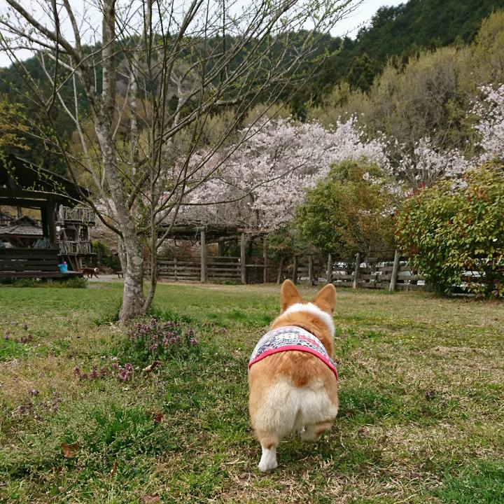 457a9503 c94c 4fae b783 25a31e11179e 1555495253557