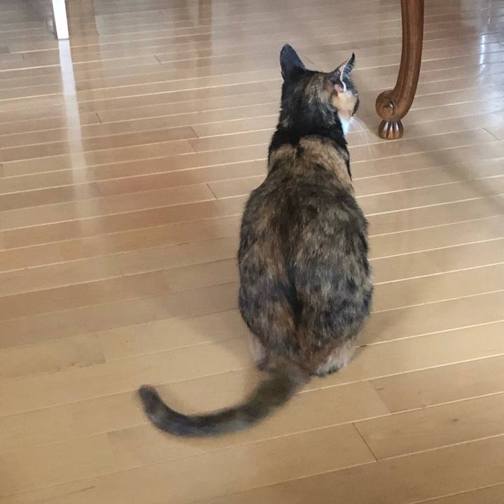 457aae9e 018a 4213 af5b d1c9769e7d0d 1561189397791