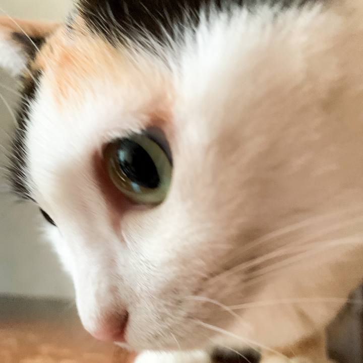 457b0d29 2f78 4770 98e3 8446ac87ffda 1588379840375