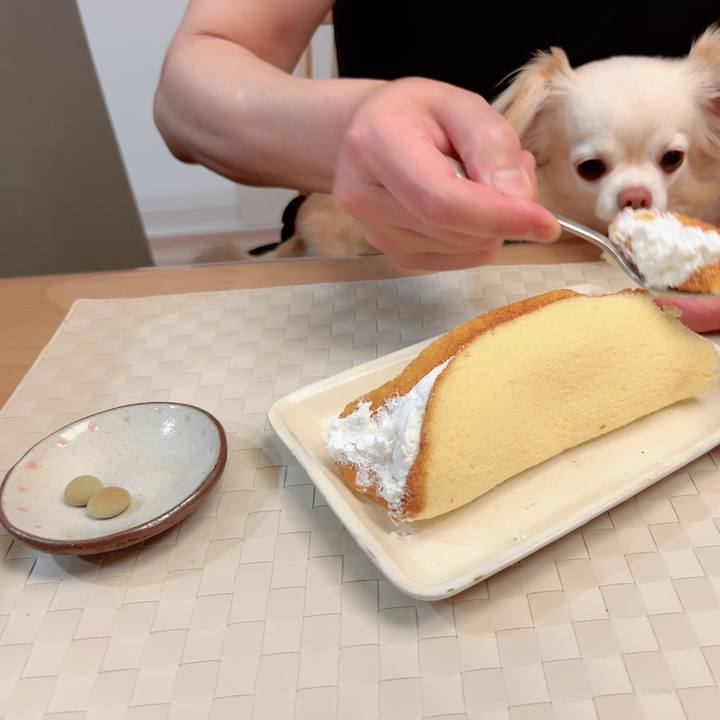 457b0f7f b959 4a81 8232 8cba00397519 1745800799733