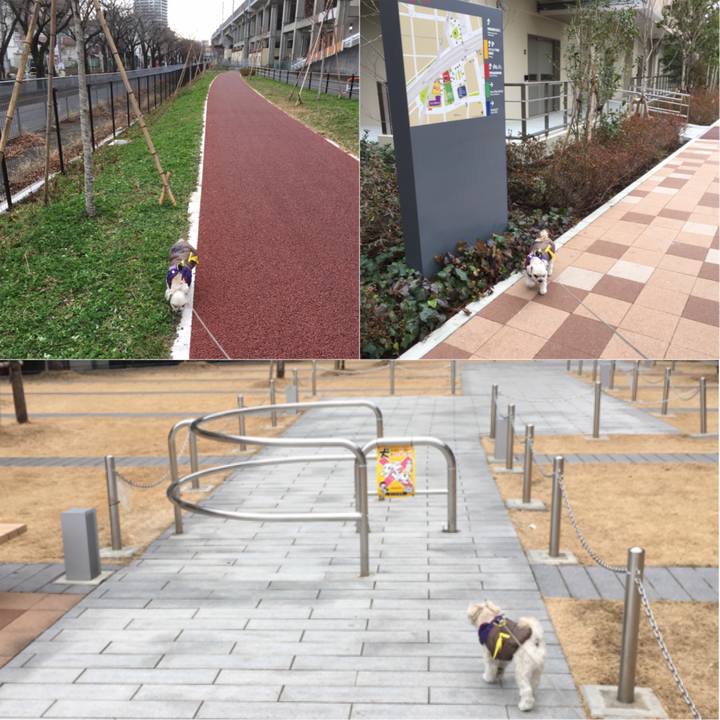 457b138e de46 44c7 834e f3fda0aaa517 1516436815262