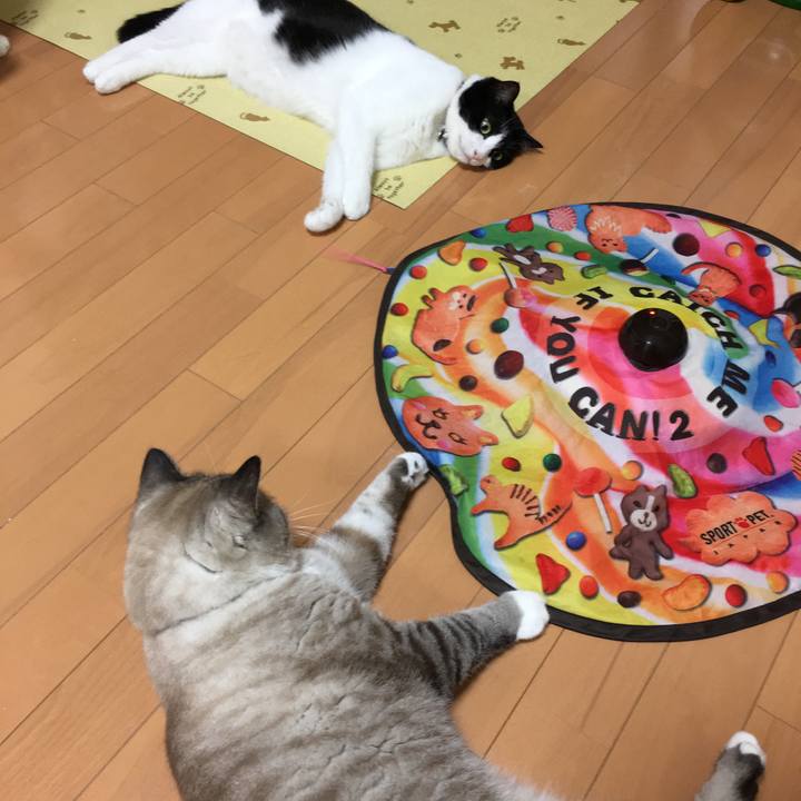 457b2ad7 6f11 42ec 9d05 f1ffb9be3cf0 1535277645955