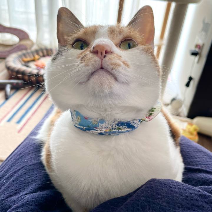 457b35a7 0e71 41c6 ad2f 26f142a041fe 1692504650849