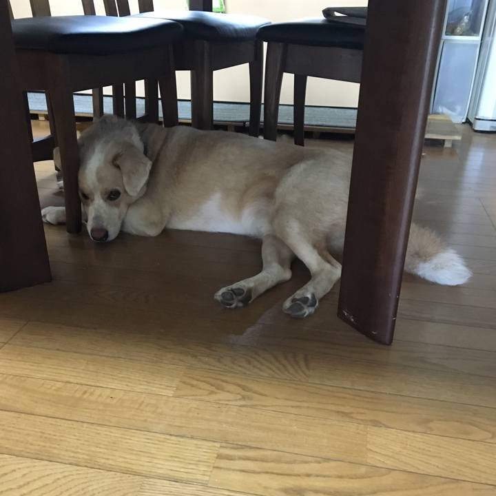 457b502a 2b67 4151 af77 8958c488dcf1 1533856127254