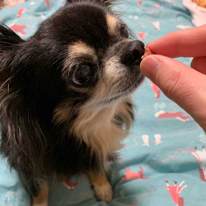 457b6fdc 946e 4ef1 9087 2c7c6d39a3ed 1555424507684