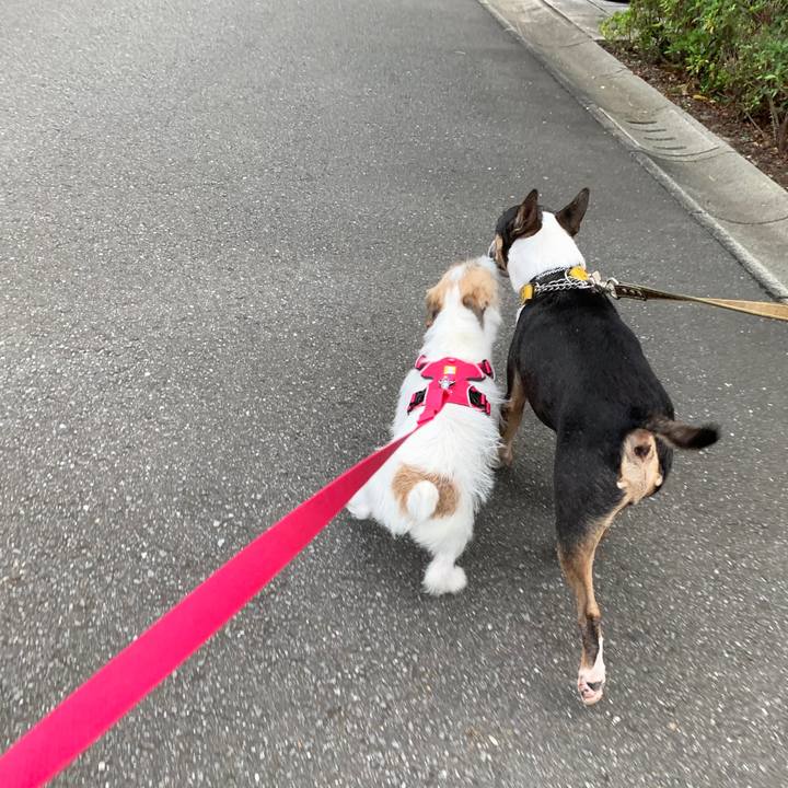 457b7269 36da 4612 a8b0 505ed90ca0f6 1570353105130