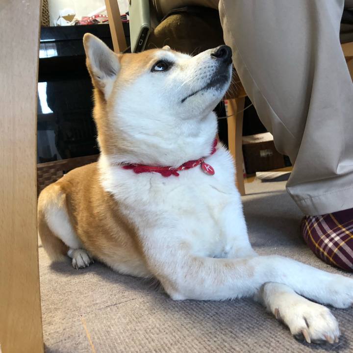 457b8387 4537 4a40 a3de 3d4ab557b808 1583541009717